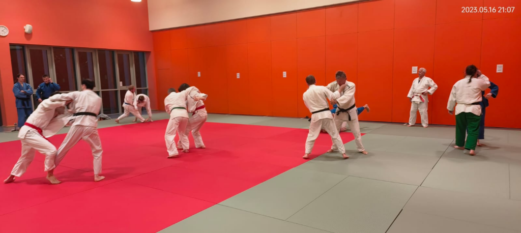 Judoka training on the mat